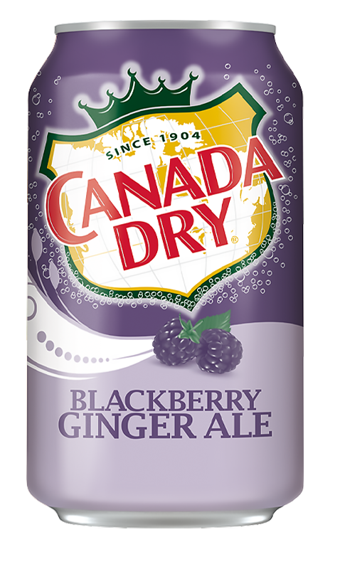 Canada Dry Blackberry Ginger Ale 355ml