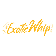 Exotic Whip Einweg-N2O-Behälter 640g